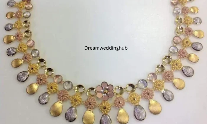 Ranishaa The Silver Shine